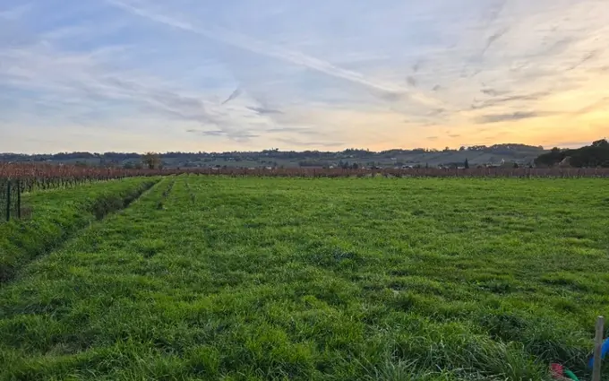 Terrain à partir de 1600m² à Saint-Laurent-des-Vignes à Saint-Laurent-des-Vignes (24100)