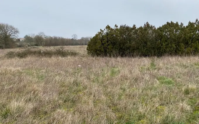 Terrain à partir de 404m² à pont-l'abbé-d'arnoult à Pont-l'Abbé-d'Arnoult (17250)