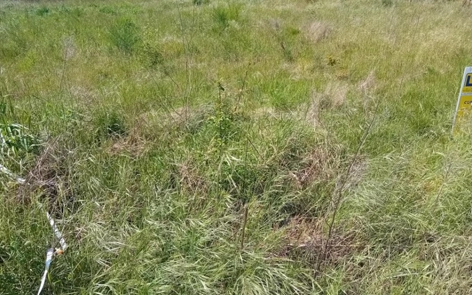 Terrain à bâtir à Arès à Arès (33740)