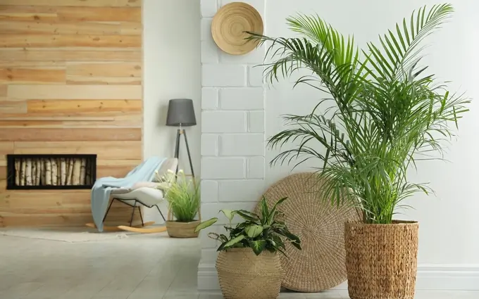 Bleu du sud - villas brs - t2 à Soustons