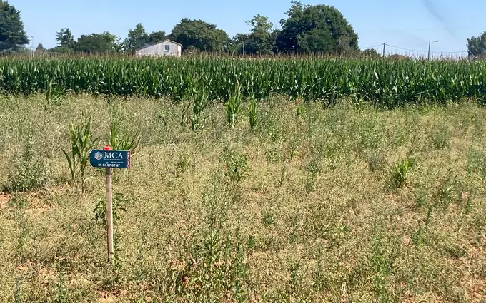 Terrain à partir de 552m² à Balanzac à Balanzac