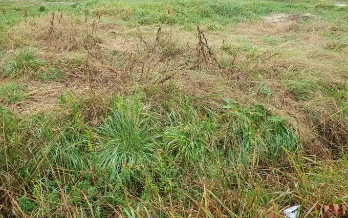 Terrain à partir de 500m² à Laruscade à Laruscade (33620)