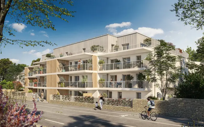 Les sittelles à Sarzeau