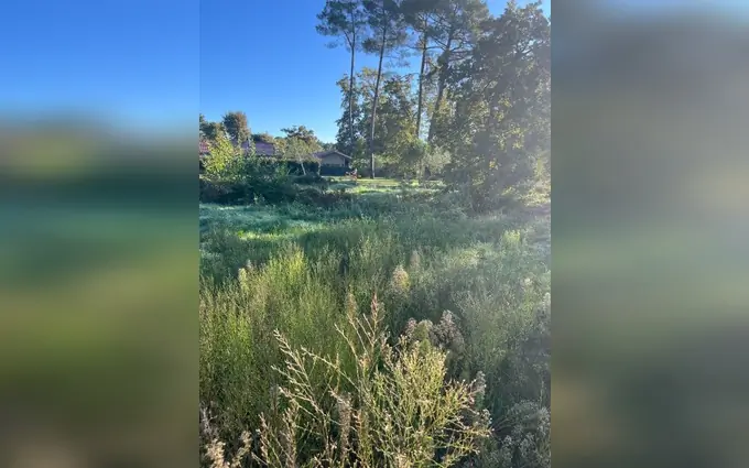 Terrain à partir de 500m² à Castelnau-de-Médoc à Castelnau-de-Médoc (33480)