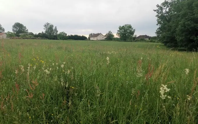 Terrain à partir de 1800m² à Peyrignac à Peyrignac (24210)
