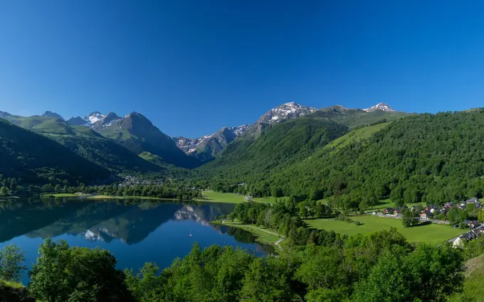 L'iris à Loudenvielle (65240)