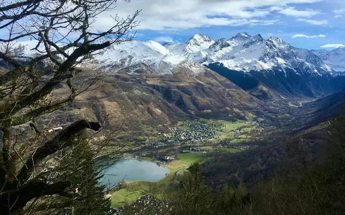 L'iris à Loudenvielle