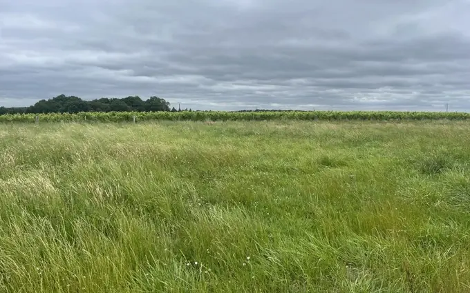 Terrain à partir de 1235m² à Jonzac à Jonzac