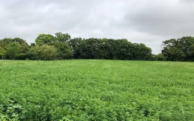 Terrain à partir de 189m² à Aigrefeuille-d'Aunis à Aigrefeuille-d'Aunis (17290)