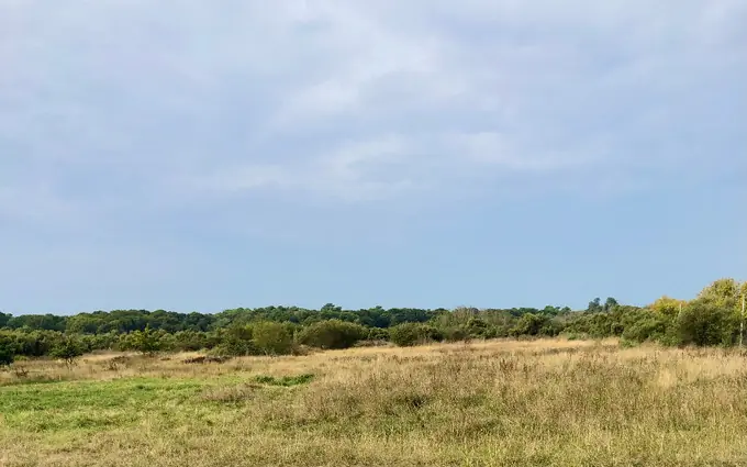 Terrain à partir de 514m² à Le Verdon-sur-Mer à Le Verdon-sur-Mer (33123)