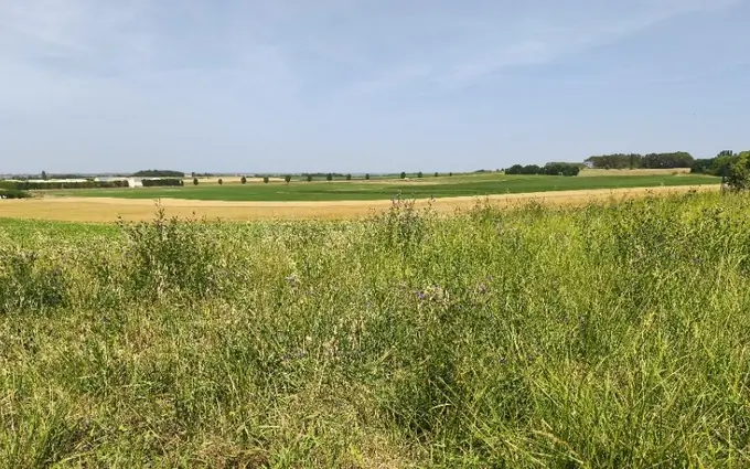 Terrain à partir de 470m² à Étaules à Étaules (17750)