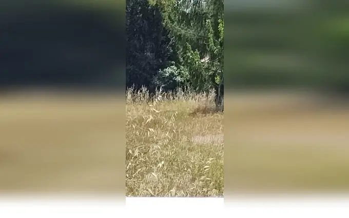 Terrain à partir de 520m² à La Tremblade à La Tremblade (17390)
