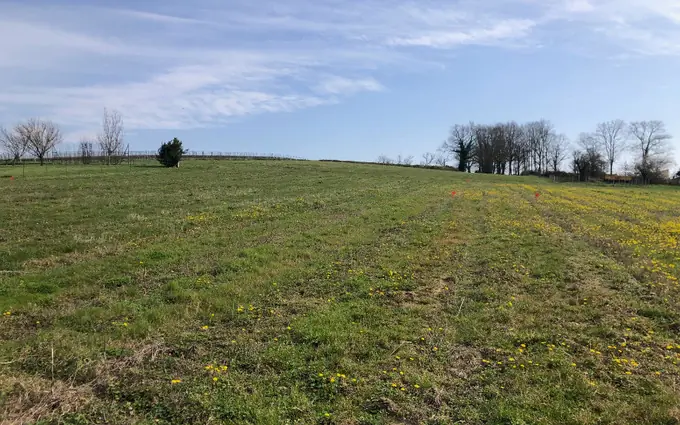 Terrain à partir de 750m² à Saint-Savin à Saint-Savin (33920)