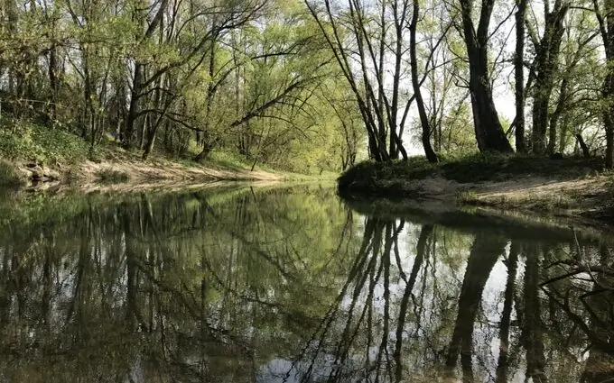 Le Cèdre Bleu à Grigny