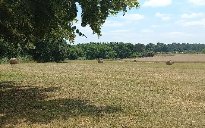 Terrain à partir de 983m² à Saint-Front-de-Pradoux à Saint-Front-de-Pradoux (24400)