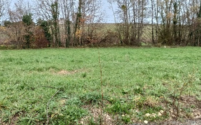 Terrain à bâtir à Bourg à Bourg (33710)