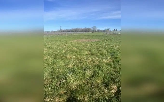 Terrain à partir de 1673m² à Jussas à Jussas (17130)