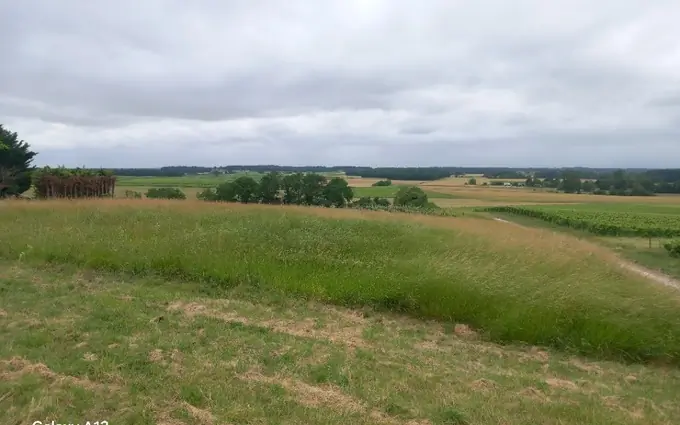 Terrain à partir de 2580m² à Saint-Maigrin à Saint-Maigrin (17520)