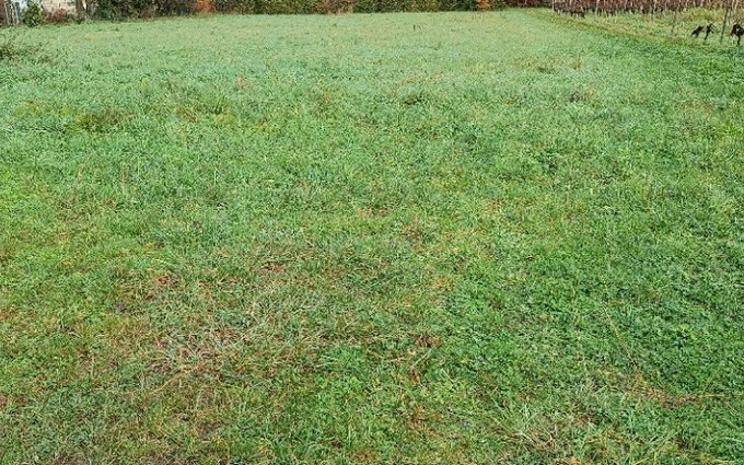 Terrain à bâtir à Lugon-et-l'Île-du-Carnay à Lugon-et-l'Île-du-Carnay (33240)