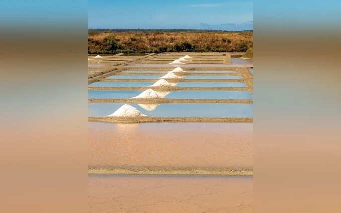 Les salines à Guérande