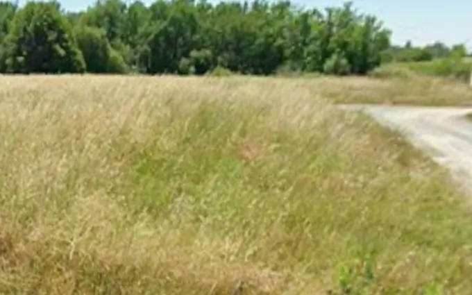 Terrain à partir de 600m² à Pugnac à Pugnac (33710)