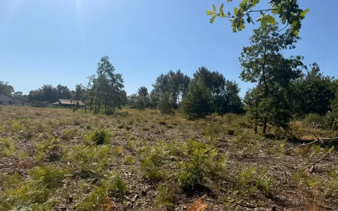 Terrain à partir de 1050m² à Saint-Michel-de-Rieufret à Saint-Michel-de-Rieufret (33720)