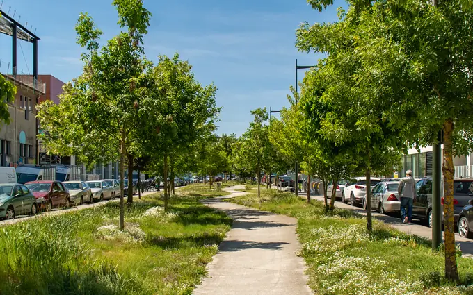 Les arcades de l'althéa à Bordeaux
