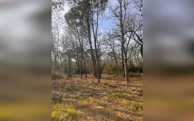 Terrain à partir de 600m² à Landiras à Landiras (33720)
