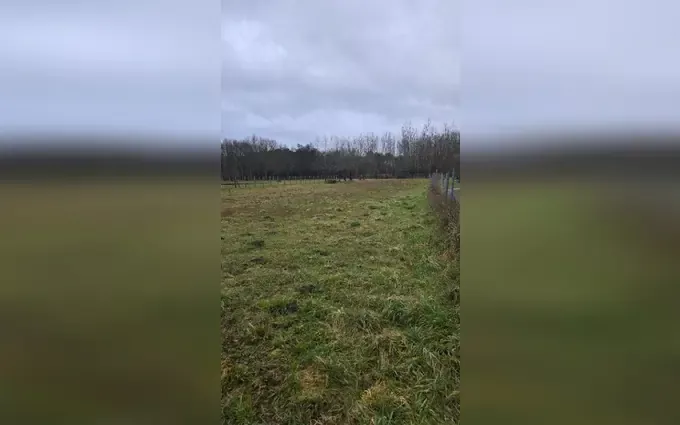 Terrain à partir de 990m² à Gauriaguet à Gauriaguet (33240)