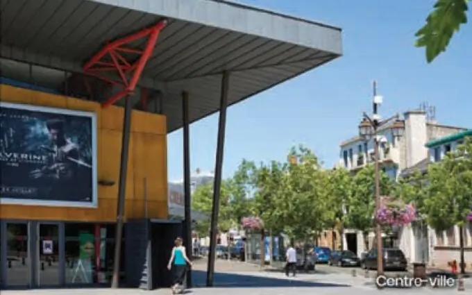 Le camélinat à Mantes-la-Ville