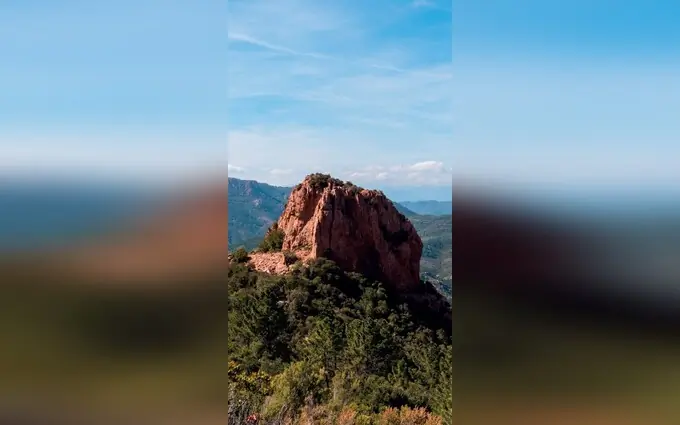 Le patio des lys à Le Muy