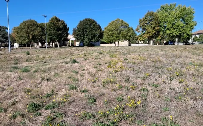 Terrain à partir de 2000m² à Fontaines-d'Ozillac à Fontaines-d'Ozillac (17500)