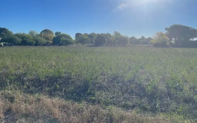 Terrain à partir de 312m² à Saint-Hippolyte à Saint-Hippolyte (17430)