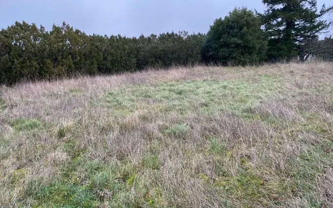 Terrain à partir de 404m² à Pont-l'Abbé-d'Arnoult à Pont-l'Abbé-d'Arnoult (17250)
