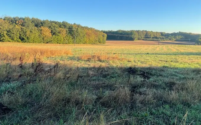 Terrain à partir de 738m² à Les Essards à Essards (17250)