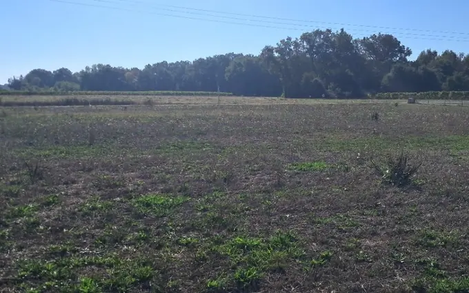 Terrain à partir de 1471m² à Mérignac à Mérignac (17210)