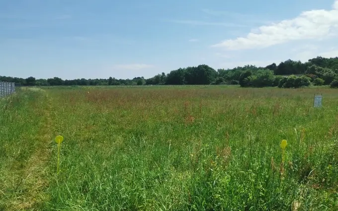 Terrain à partir de 1000m² à Mazères à Mazères (33210)