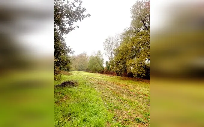 Terrain à partir de 900m² à Sablons à Sablons (33910)
