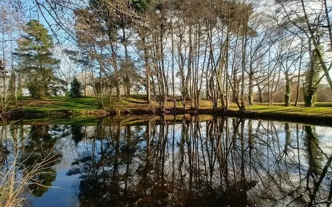 Coeur de tize à Thorigné-Fouillard