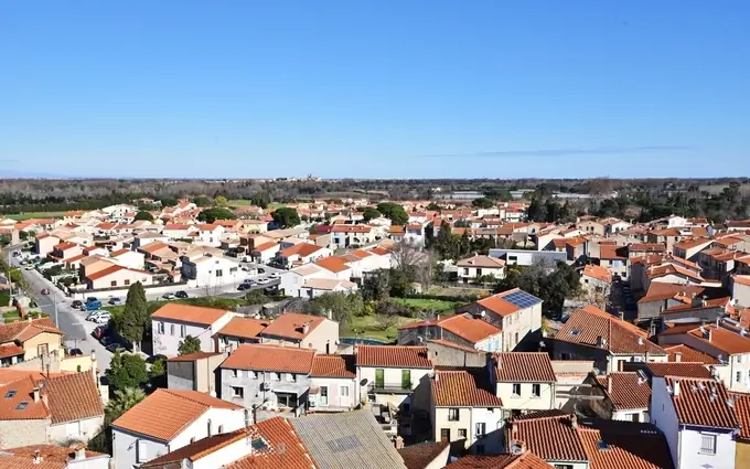 Les petites vignes à Palau-del-Vidre