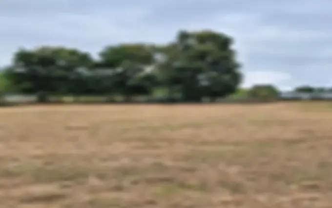 Terrain à partir de 720m² à Cézac à Cézac (33620)