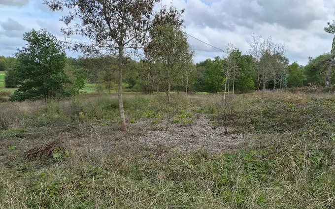 Terrain à partir de 2534m² à Puymangou à Saint-Aulaye (24410)