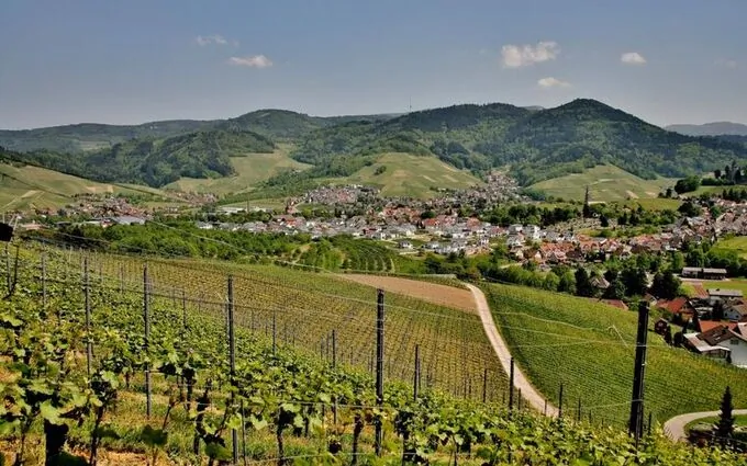 LE CLOS DU VIGNOBLE à Dorlisheim
