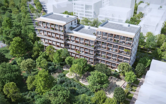 BOIS DE NAGOYA à Toulouse