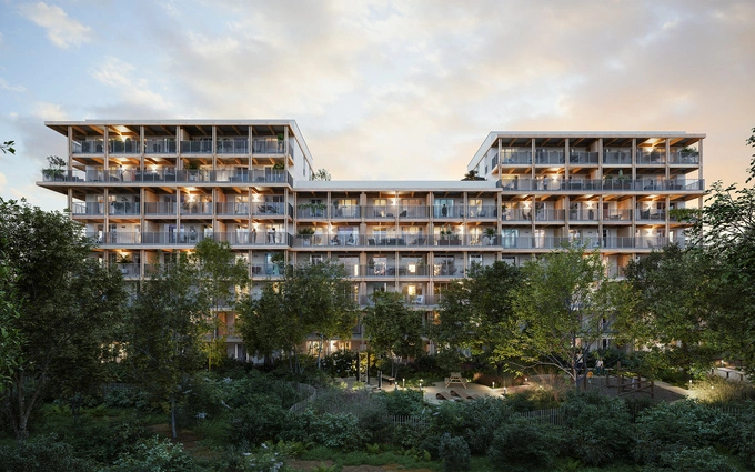 BOIS DE NAGOYA à Toulouse