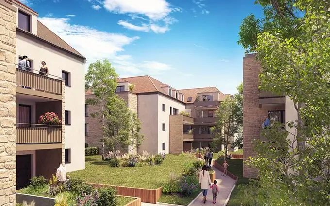 L'amaryllis à Dammarie-les-Lys