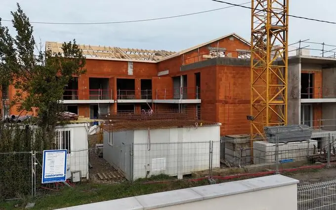 L'isatis à Escalquens