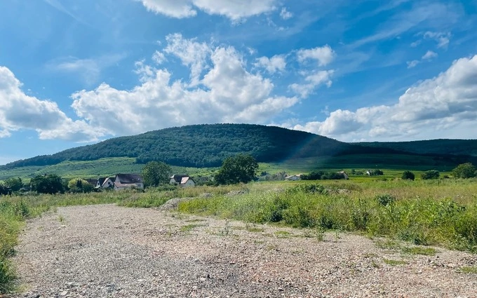 LE HAMO DU CHÂTEAU à Guebwiller