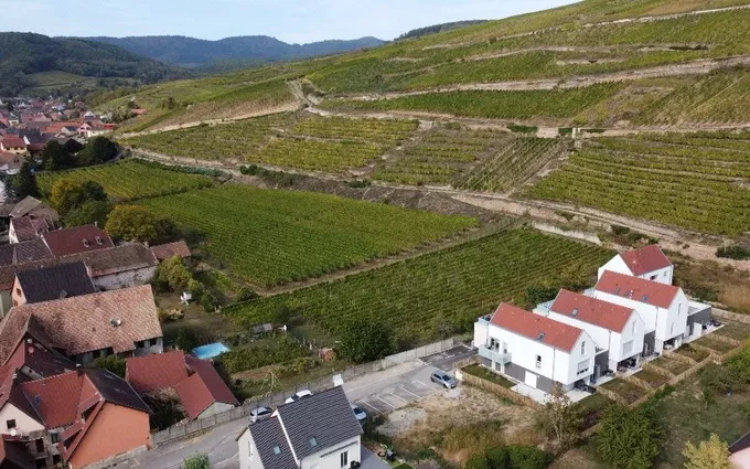 Serres à Soultzmatt (68570)
