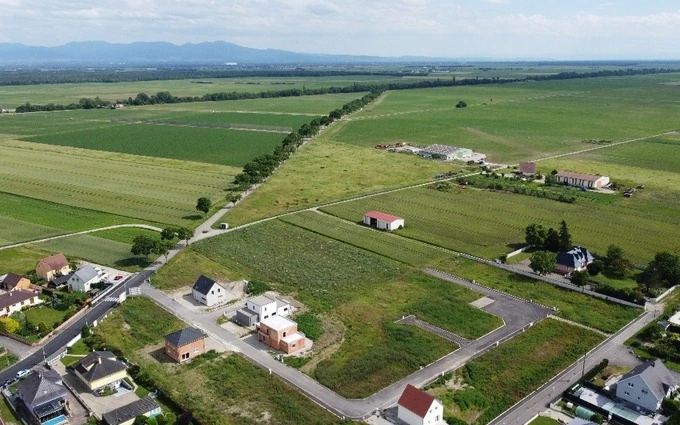 Rue de Balgau à Dessenheim